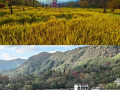 -塔川景区