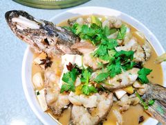 -煲来饱去冷水鱼