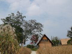 -良渚古城遗址公园