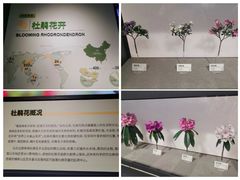 -四川大学博物馆