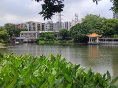 -荔湾湖公园
