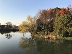 -新江湾城公园