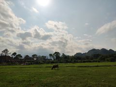 -罗坑大草原