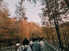 -福道