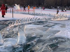 -长春市南湖公园