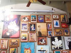 -猫咪博物馆(顶澳仔猫街店)