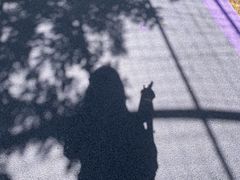 -大塘金香草谷