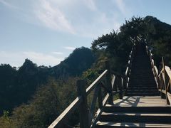 -大岭沟猕猴桃谷风景区