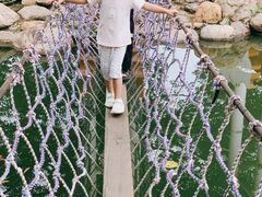 -南昌之星游乐场