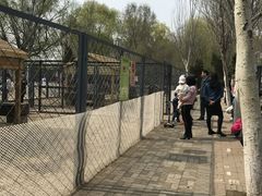 -长白岛森林公园