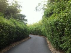 iphone_upload_pic-天目湖涵田度假村
