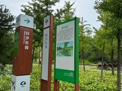 -东郊湿地公园