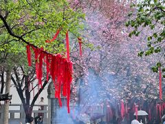 -西安青龙寺遗址景区