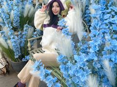 -中粮·祥云小镇
