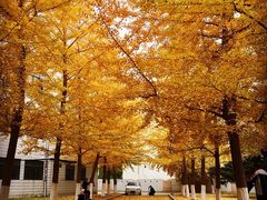 -辽宁大学(崇山校区)
