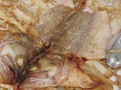 -翠亭酒家(山西南路店)