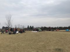 -夏河溪乡野公园