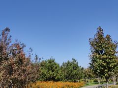 -东郊湿地公园