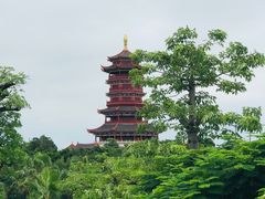 -厦门园林博览苑
