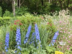 -长春市南湖公园