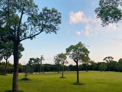 -上海吴淞炮台湾国家湿地公园
