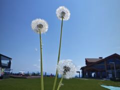 -长白山万达国际度假区