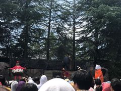 -环球影城 航海王剧场秀