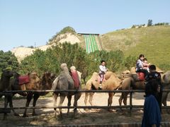 -古柏渡飞黄旅游区