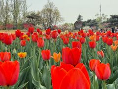 -国家植物园南园