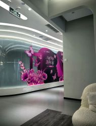 -联合丽格·张菡丽格医疗美容