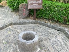 -上海佘山国家森林公园天马山园