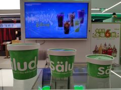 -Salud撒露欧洲冻酸奶(五道口购物中心店)