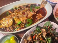 黄鱼-Night Breeze晚风