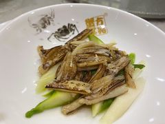 蟹柳芦笋-新光酒家·河豚·海鲜·蟹料理(浦东店)