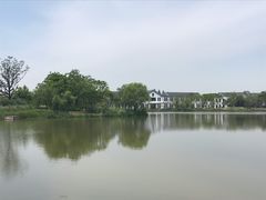 -上海长兴岛郊野公园