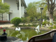 -广富林宰相府酒店·水云间