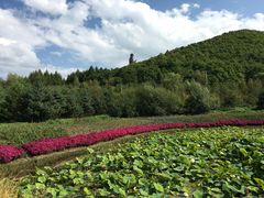 -六鼎山文化旅游区