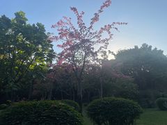 -晓港公园
