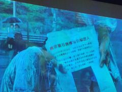 -新紫霞养生·影院足道·SPA(金山区店)