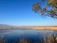 -野鸭湖国家湿地公园