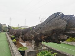 -大树头·花园餐厅(市桥店)