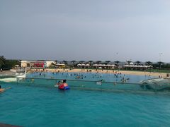 -秦皇岛乐岛海洋王国