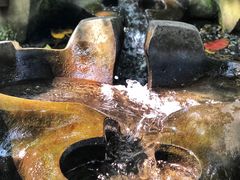 -成都市活水公园