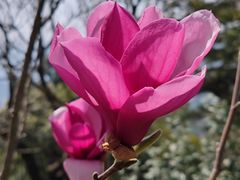 -雨花胜境