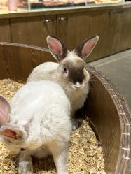 -Zoolung Zoolung动物主题公园(海信广场店)