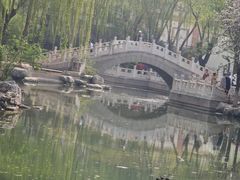 -丰台科技园生态主题公园