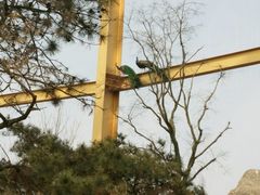 -临沂动植物园