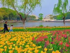 -上海鲜花港