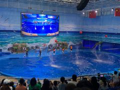 -多彩贵州城极地海洋世界