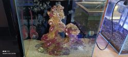 -趣陶陶艺手工坊(新世界百货重庆店)